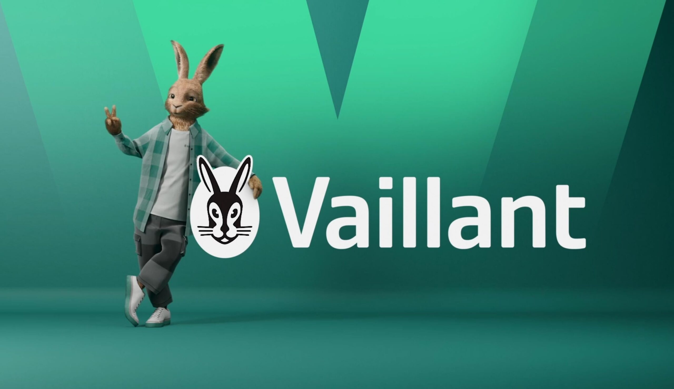 A visual of our Vaillant case